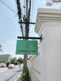 Caterpillar Cafe