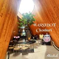 คาเฟ่ลับที่ไม่ลับ Harudot