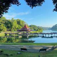 Lush Trails & Tranquil Waters at MacRitchie Reservoir