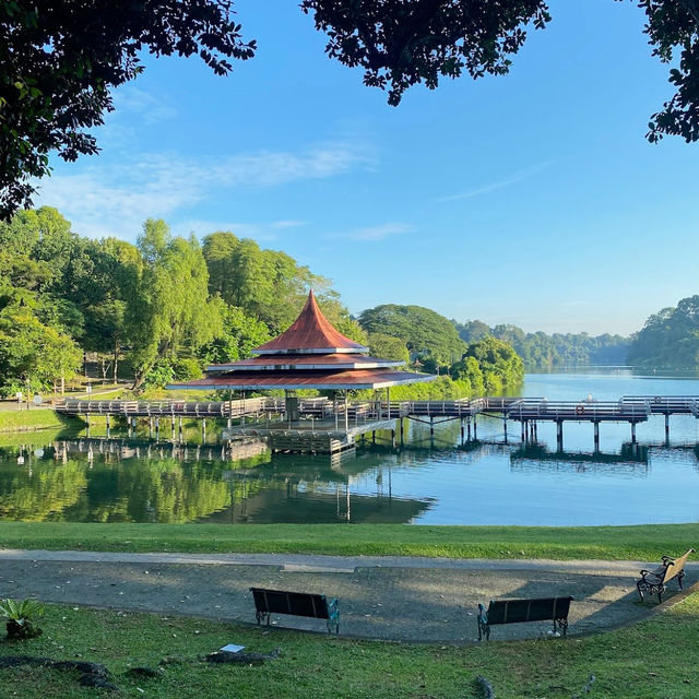 Lush Trails & Tranquil Waters at MacRitchie Reservoir