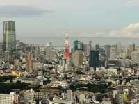 東京必去！超美免費入場的惠比壽花園廣場大樓38樓觀景台