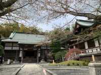竹寺　鎌倉報国寺