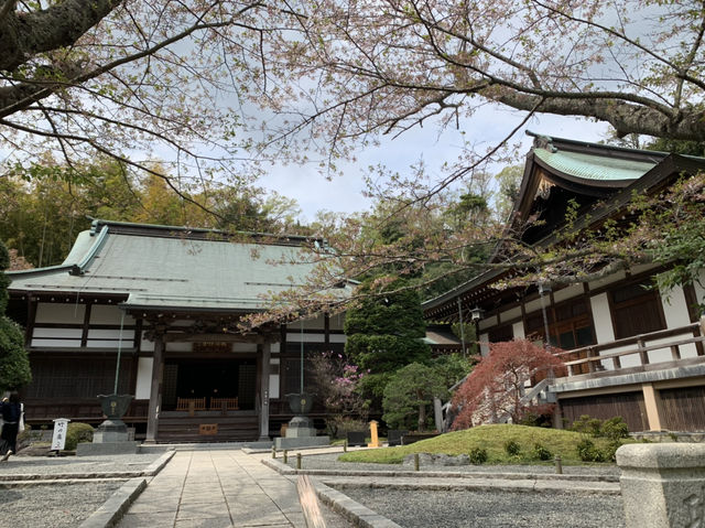 竹寺　鎌倉報国寺