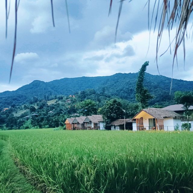 สะปันดีวิว ที่พักดีดีกลางทุ่งนา