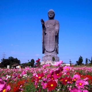 Ibaraki: Where Innovation Meets Natural Beauty