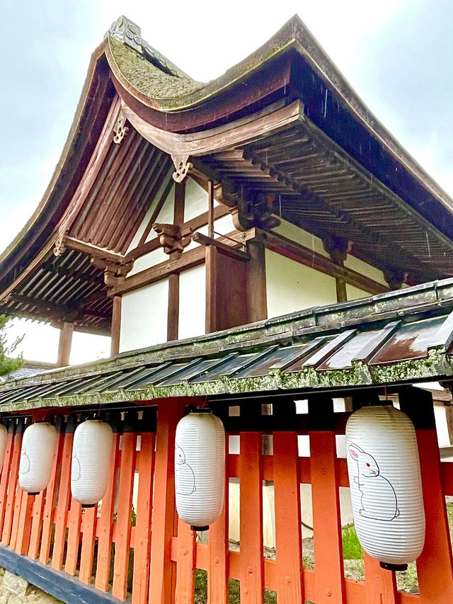 【京都府】うさぎがご縁を運ぶ神社