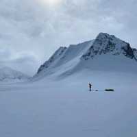 Mount Logan