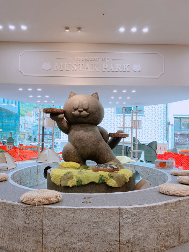 명동 😻🎶고양이 카페, 루프캣미