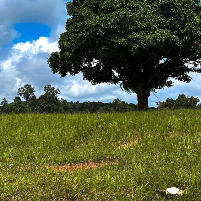 ⛰️1 วันเที่ยวบนเขาใหญ่ ⛰️