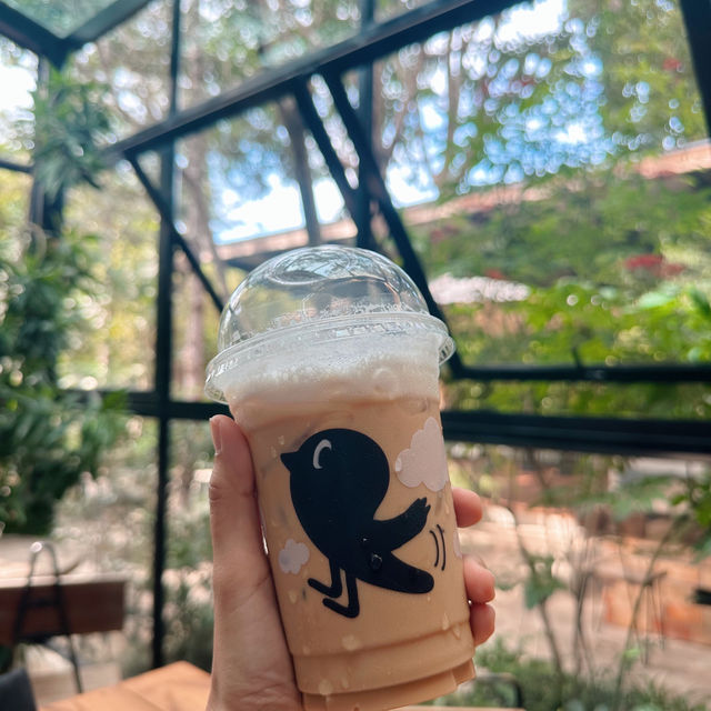 #TheBirdersLodge #ปากช่อง #คาเฟ่ #เขาใหญ่