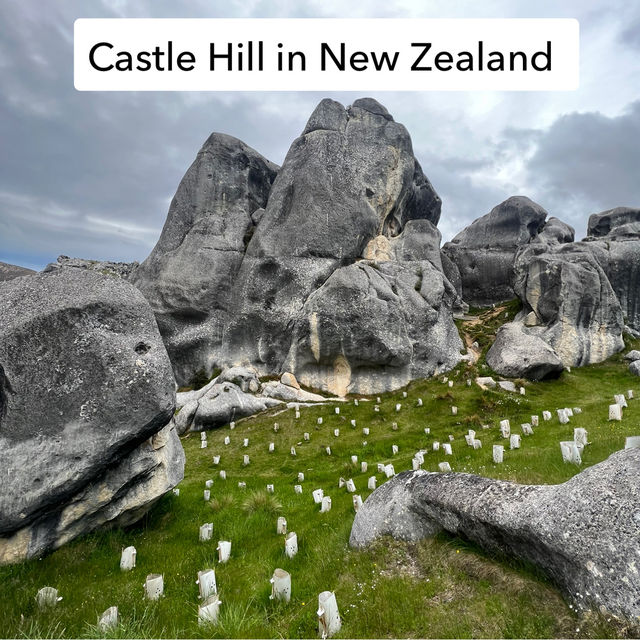 Famous Filming Location in New Zealand
