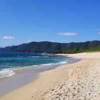 【鹿児島】奄美大島の他の島にはない魅力とは？