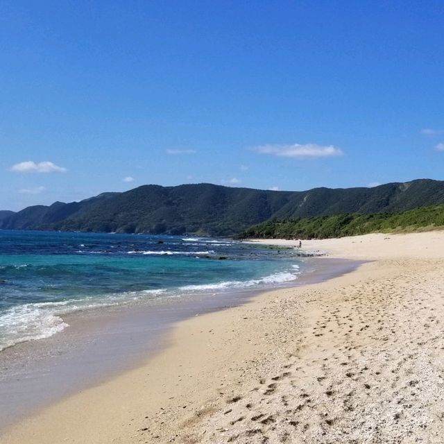 【鹿児島】奄美大島の他の島にはない魅力とは？