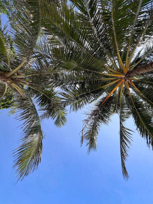 Discover the Hidden Gem of Ko Kham