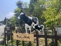 まかいの牧場@静岡・富士宮🐏