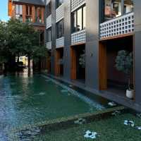 Hotel Loy Chiang Mai สไตล์โมเดิร์นผสม Japanese