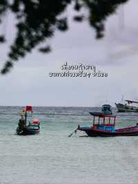 Scuba ครั้งแรกที่เกาะเต่า🏖️🤿