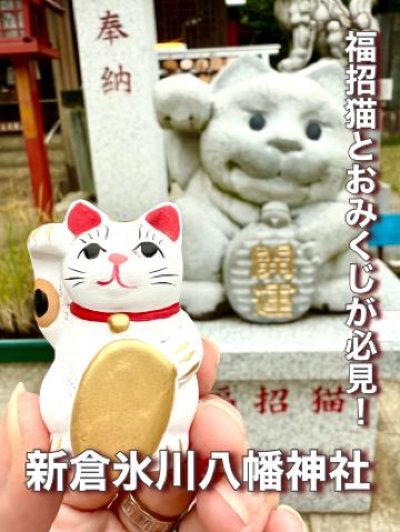 【埼玉県】福招猫とおみくじが必見！