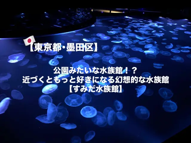 【墨田区】スカイツリーにある公園みたいな水族館🐟