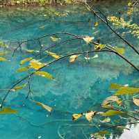 🌿 Exploring Jiuzhaigou: Nature’s Hidden Gem in Sichuan, China! 🌧️  