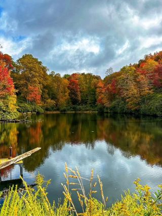 A beautiful view of the fall colors🍀