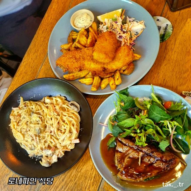 호주 브리즈번 로네파인 코알라 상투아리🇦🇺