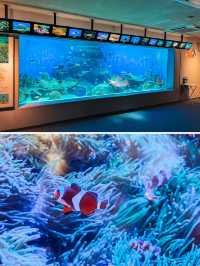【 東京 品川 】本当は秘密にしたい東京の穴場水族館