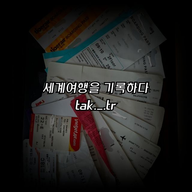 호주 브리즈번 마운틴 쿳-타 전망대와ㅡ식물원🇦🇺