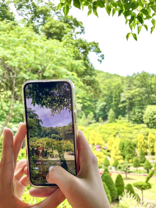 초록뷰에 수국까지 있는 서울근교 사진맛집🌿