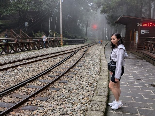 Alishan's Dawn to Dusk Magic