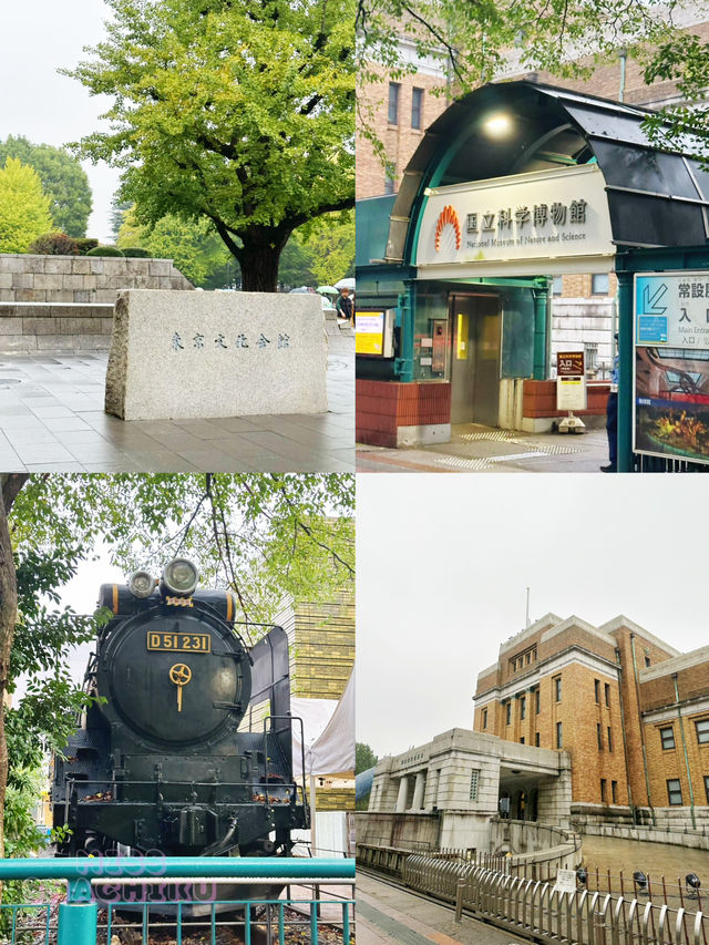 ⭐️教堂式過百年歷史博物館🤩