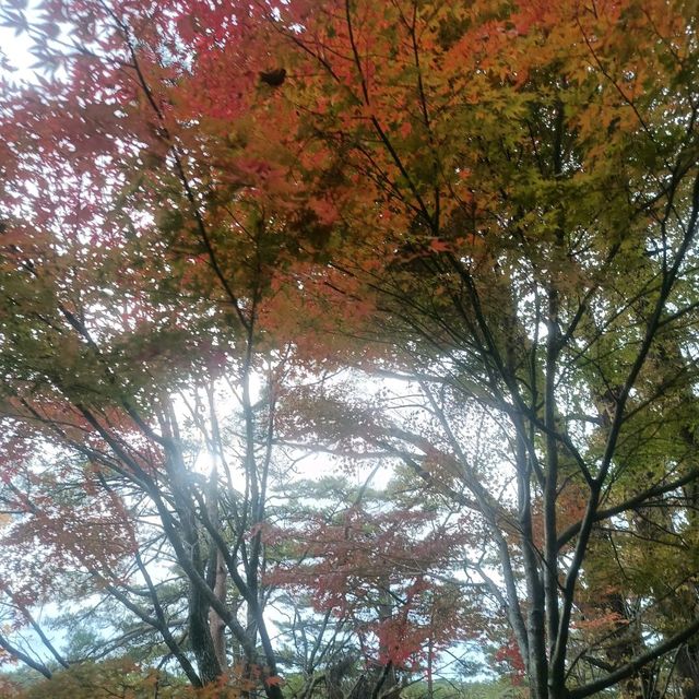 日本/東北/日本九寨溝~五色沼 賞楓的好地方~風景很美