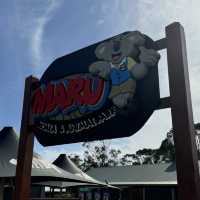  Maru Koala and Animal Park：與可愛動物相遇的夢幻之地 🐨🌿