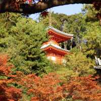 聖福寺：秋意盎然🍂