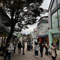 秋季放鬆旅行之選
