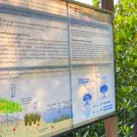 โครงการอนุรักษ์ระบบนิเวศป่าชายเลนไกรลาศนิเวศ 