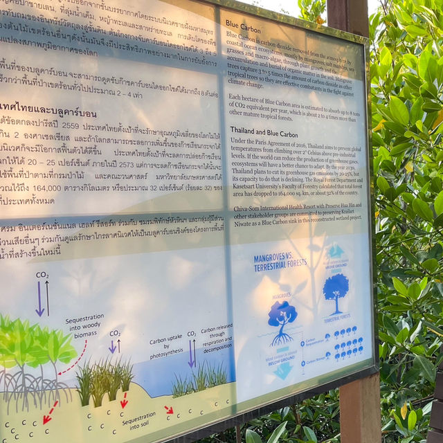 โครงการอนุรักษ์ระบบนิเวศป่าชายเลนไกรลาศนิเวศ 