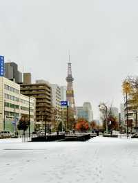 北海道　札幌市の雪景色❄️🗼