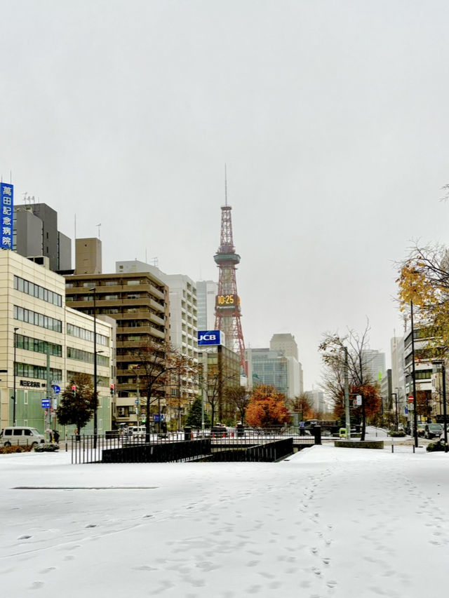 北海道　札幌市の雪景色❄️🗼