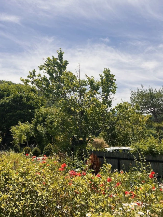 도시에서 벗어나 평화롭게 🏝️ 자연힐링하실 수 있는 😌촌캉스 여행지 추천 
