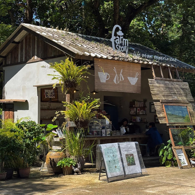 เอาใจสำหรับคนที่ชอบงานคราฟท์ 🍃🎨🥤