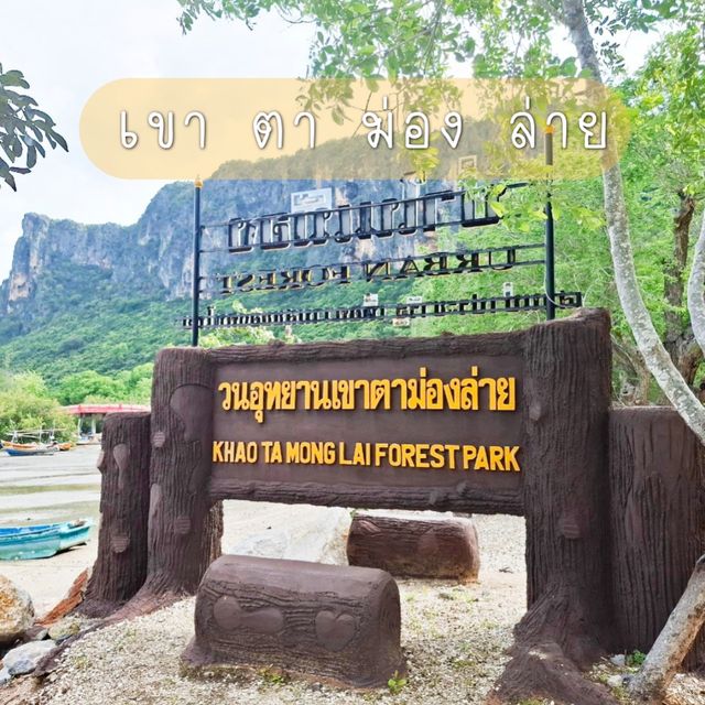 เดินเล่นเขาตาม่องล่าย