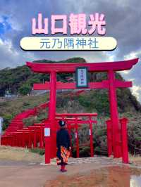 山口観光⛩️山口県屈指のパワースポット⛩️元乃隅神社🦊