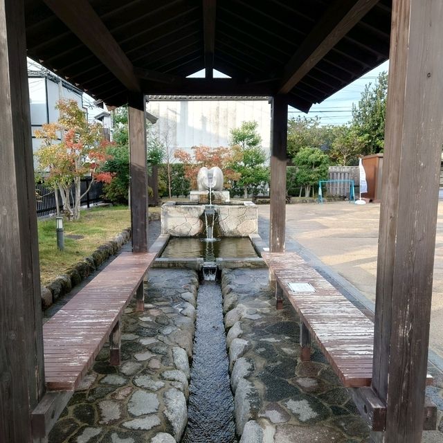 長崎観光！日本名水１００選の湧水「鯉の泳ぐまち」