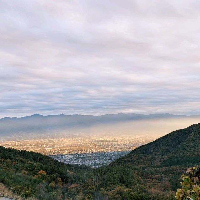 ほったらかしキャンプ場