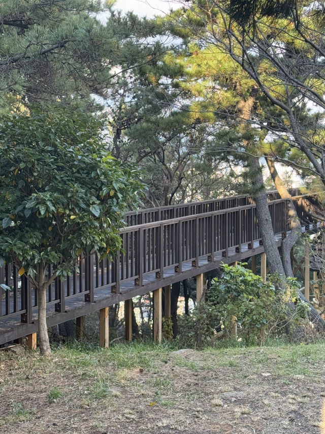 바다와 산을 한곳에서!