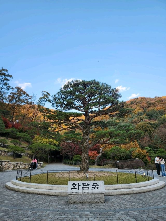 ❤️서울근교에서 가을을 느낄 수 있는 인기명소, "화담숲"❤️