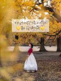 イチョウ穴場スポット『新宿御苑』💛