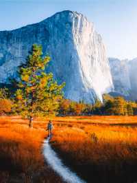 Hiking in Yosemite National Park