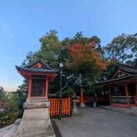 🇯🇵京都「伏見稻荷大社」輕鬆拍出無路人大片！給各位一個早起的理由！